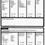 Australian Customs Import Declaration Page 3