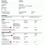 Automobile Insurance Example Of Automobile Insurance