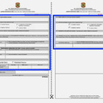 Brazil Health Declaration Form Pdf Farahistalking