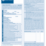 CBP Travel Form 15 Free Templates In PDF Word Excel Download