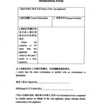 Chinese Declaration Form 2009 Swine Flu This Form Was Ha Flickr