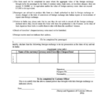 Currency Declaration Form Printable Pdf Download