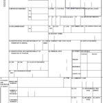 Declaration Letter Format For Customs Clearance Certify Letter