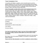 ES MALTA 2 Public Health Travel Declaration Form 2020 RZA updated By