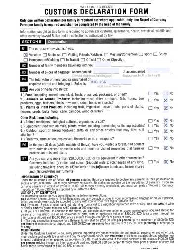 FREE 13 Customs Declaration Form Samples In PDF MS Word