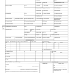Idf Form Fill Online Printable Fillable Blank PdfFiller