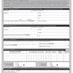 Import Declarations Fill Out And Sign Printable PDF Template SignNow