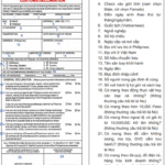 Instructions On How To Fill In The Philippines Immigration Forms 3D