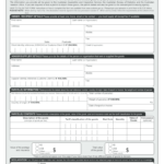 N10 Form Fill Out And Sign Printable PDF Template SignNow