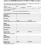 Travel Health Declaration Form Usa Southwest Airlines To Require