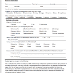 Travelers Health Declaration Form Brazil Declaration Form