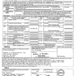 Us Cbp Form B13a Example