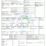 What Is Goods Declaration GD PakistanCustoms Help You To Be