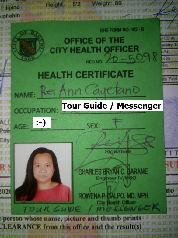 BbossVoyage Travel And Tours EGovernment Of Baguio For The Health 