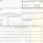Custom Declaration Form K2 WhiteSmilingBullet Custom Form Customs