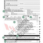 Customs Declaration