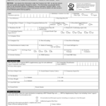 Export Declaration Form Pdf Fill Online Printable Fillable Blank