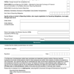 Fill Free Fillable Irish Tax Customs PDF Forms