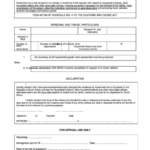 South Africa Customs And Excise Form Printable Pdf Download