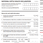 26 pdf HEALTH DECLARATION FORM PRINTABLE HD DOCX DOWNLOAD ZIP