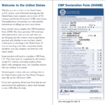 CBP DECLARATION FORM 6059B PDF