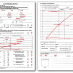 Export Declaration Russia Tavolo Pietra Lavica