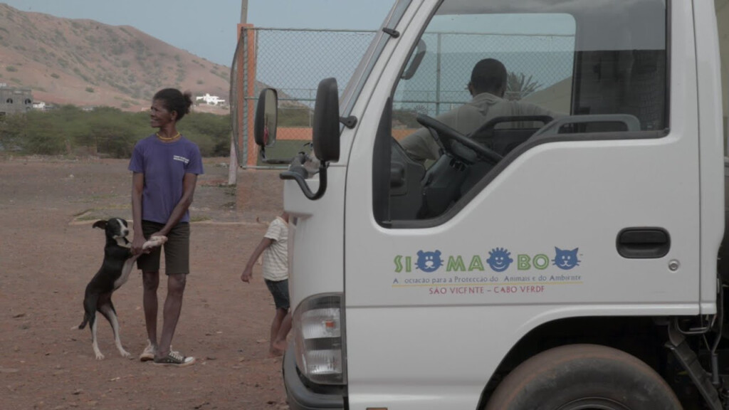 Faces2Hearts In CAPE VERDE Improving Public Health Through Street Dogs 