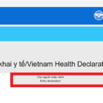 Fill Vietnamese Medical Declaration Form Archives Vietnamimmigration