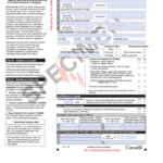 Form E311 Declaration Card Specimen Printable Pdf Download