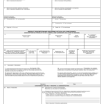 Import Declaration Form Fill Out Sign Online DocHub