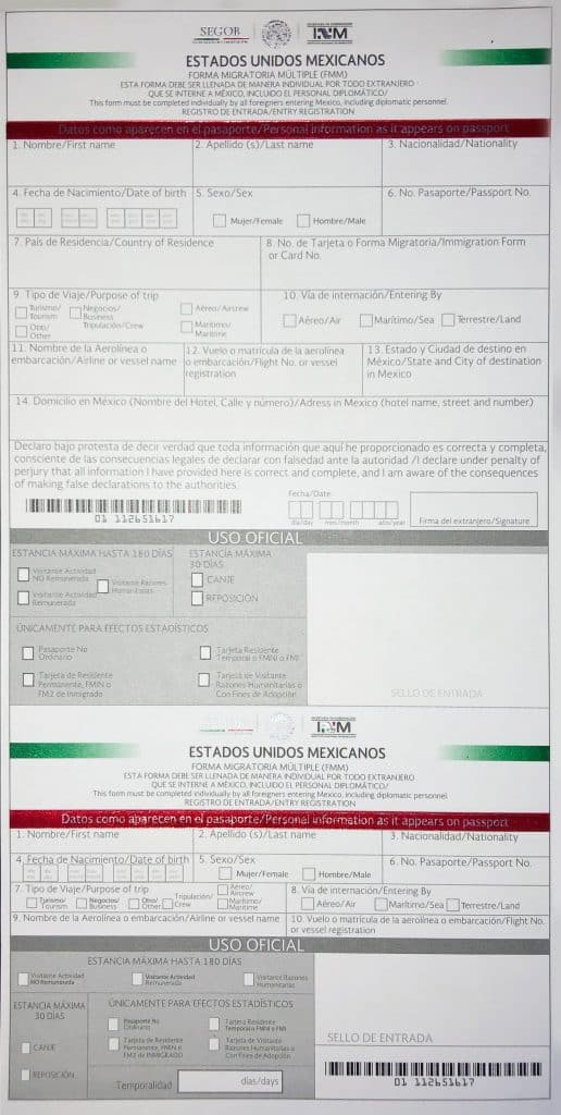 Mexican Health Declaration Form Jeremitettus