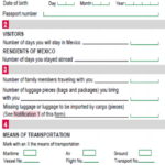 Mexico Customs Declaration Form Online