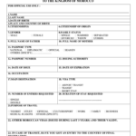 Morocco Visa Application Form Fill Out Sign Online DocHub