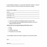 PDF Self Declaration Form NTA PDF Download InstaPDF