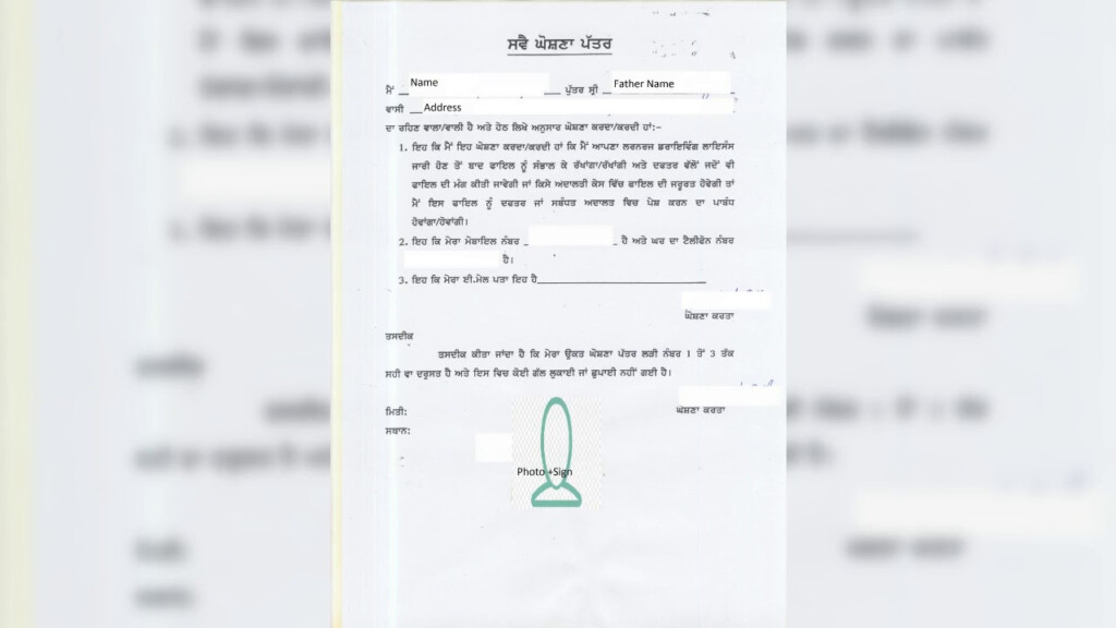 self declaration form in punjabi pdf