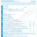 Us Customs Declaration Form Pdf Download