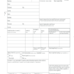 2023 Declaration Form Fillable Printable PDF Forms Handypdf
