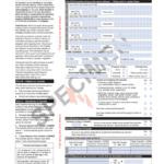 Canada Customs Form