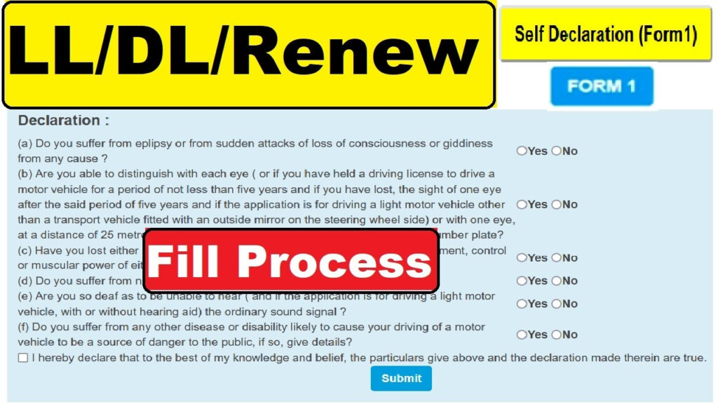 Driving Licence Self Declaration Form Fill Online LL DL Renew Form 1 