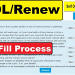 Driving Licence Self Declaration Form Fill Online LL DL Renew Form 1