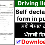 Driving Licence Self Declaration Form Punjab In Punjabi