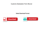 Fillable Online Customs Declaration Form Brunei Customs Declaration