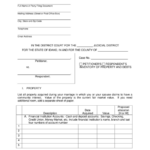 Form CAO RFLPPi1 1 Download Printable PDF Or Fill Online Petitioner s