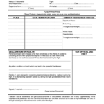 Health Declaration Form Jamaica HAELTHO