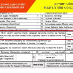 Health Declaration Form To Enter Mexico DeclarationForm