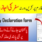 How To Fill Pakistan Airport Currency Declaration Form Pakistan