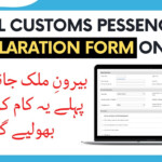How To Fill Pakistan Customs Passenger Currency Declaration Form On