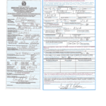 Immigration Customs Form Dominican Republic 2020 2022 Fill And Sign