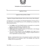 India Declaration On Travel Health Insurance Fill And Sign Printable