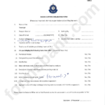Indian Customs Declaration Form Printable Pdf Download